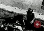 Immagine di Tedesco e aerei italiani La Valletta Malta, 1943, secondo 26 filmato di repertorio 65675069303