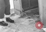 Image of Screwball golf game United States USA, 1949, second 53 stock footage video 65675069312