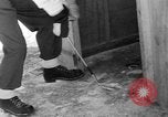 Image of Screwball golf game United States USA, 1949, second 57 stock footage video 65675069312