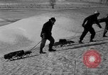 Image of Screwball golf game United States USA, 1949, second 61 stock footage video 65675069312