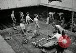 Image grève de dock London England Royaume-Uni, 1949, de la seconde 54 séquences d'archives historiques vidéo 65675069313