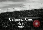 Image Horse Rodeo Calgary Canada, 1949, de la seconde 1 séquences d'archives historiques vidéo 65675069319