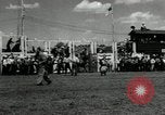 Image Horse Rodeo Calgary Canada, 1949, de la seconde 4 séquences d'archives historiques vidéo 65675069319