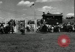 Image Horse Rodeo Calgary Canada, 1949, de la seconde 7 séquences d'archives historiques vidéo 65675069319