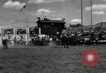 Image Horse Rodeo Calgary Canada, 1949, de la seconde 9 séquences d'archives historiques vidéo 65675069319