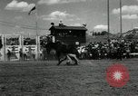 Image Horse Rodeo Calgary Canada, 1949, de la seconde 11 séquences d'archives historiques vidéo 65675069319