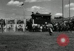 Image Horse Rodeo Calgary Canada, 1949, de la seconde 13 séquences d'archives historiques vidéo 65675069319