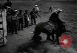 Image Horse Rodeo Calgary Canada, 1949, de la seconde 17 séquences d'archives historiques vidéo 65675069319
