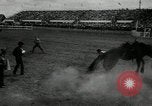 Image Horse Rodeo Calgary Canada, 1949, de la seconde 19 séquences d'archives historiques vidéo 65675069319