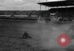 Image Horse Rodeo Calgary Canada, 1949, de la seconde 21 séquences d'archives historiques vidéo 65675069319