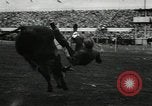 Image Horse Rodeo Calgary Canada, 1949, de la seconde 41 séquences d'archives historiques vidéo 65675069319