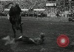 Image Horse Rodeo Calgary Canada, 1949, de la seconde 42 séquences d'archives historiques vidéo 65675069319