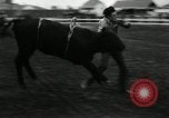 Image Horse Rodeo Calgary Canada, 1949, de la seconde 46 séquences d'archives historiques vidéo 65675069319