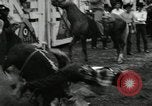 Image Horse Rodeo Calgary Canada, 1949, de la seconde 49 séquences d'archives historiques vidéo 65675069319