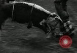 Image Horse Rodeo Calgary Canada, 1949, de la seconde 50 séquences d'archives historiques vidéo 65675069319
