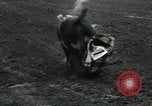 Image Horse Rodeo Calgary Canada, 1949, de la seconde 51 séquences d'archives historiques vidéo 65675069319