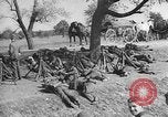Standbild Vormarsch deutscher Truppen in Polen Polen, 1939, aus Sekunde 48 historischem Filmmaterial Videoclip 65675069324
