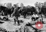 Standbild Vormarsch deutscher Truppen in Polen Polen, 1939, aus Sekunde 58 historischem Filmmaterial Videoclip 65675069324