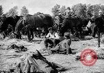 Standbild Vormarsch deutscher Truppen in Polen Polen, 1939, aus Sekunde 60 historischem Filmmaterial Videoclip 65675069324