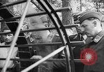 Image of German Aerial reconnaissance WW2 Poland, 1939, second 41 stock footage video 65675069326