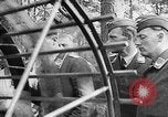 Image of German Aerial reconnaissance WW2 Poland, 1939, second 44 stock footage video 65675069326
