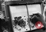 Image of German Aerial reconnaissance WW2 Poland, 1939, second 49 stock footage video 65675069326