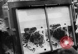 Image of German Aerial reconnaissance WW2 Poland, 1939, second 50 stock footage video 65675069326