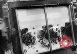 Image of German Aerial reconnaissance WW2 Poland, 1939, second 51 stock footage video 65675069326
