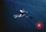 Image of United States Task Force Pacific Ocean, 1943, second 41 stock footage video 65675069331
