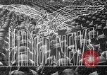 Image of Battle of Iwo Jima Iwo Jima, 1945, second 16 stock footage video 65675069349