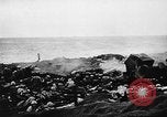 Image of Battle of Iwo Jima Iwo Jima, 1945, second 60 stock footage video 65675069349