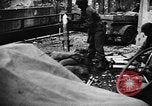 Immagine di Truppe alleate Germania, 1945, secondo 17 filmato di repertorio 65675069352