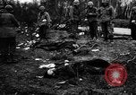 Immagine di Truppe alleate Germania, 1945, secondo 62 filmato di repertorio 65675069352