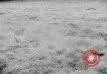 Image crues du Danube l'Europe, 1954, de la seconde 11 séquences d'archives historiques vidéo 65675069354
