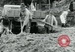 Image crues du Danube l'Europe, 1954, de la seconde 52 séquences d'archives historiques vidéo 65675069354