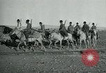 Immagine di Soldati turchi Gallipoli Turchia, 1918, secondo 14 filmato di repertorio 65675069366
