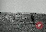 Immagine di Soldati turchi Gallipoli Turchia, 1918, secondo 34 filmato di repertorio 65675069366