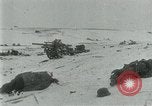 Image of German forces overrn in Battle of the Korsun-Cherkassy Pocket Eastern Front European Theater, 1944, second 25 stock footage video 65675069368