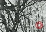 Image of Russian versus German Battle of the Korsun-Cherkassy Pocket Eastern Front European Theater, 1944, second 31 stock footage video 65675069369