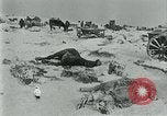 Image of German forces under Stemmermann defeated in Cherkassy pocket Eastern Front European Theater, 1944, second 20 stock footage video 65675069370