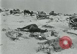 Image of German forces under Stemmermann defeated in Cherkassy pocket Eastern Front European Theater, 1944, second 21 stock footage video 65675069370
