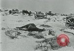 Image of German forces under Stemmermann defeated in Cherkassy pocket Eastern Front European Theater, 1944, second 22 stock footage video 65675069370