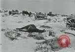 Image of German forces under Stemmermann defeated in Cherkassy pocket Eastern Front European Theater, 1944, second 23 stock footage video 65675069370