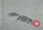 Image of German forces under Stemmermann defeated in Cherkassy pocket Eastern Front European Theater, 1944, second 35 stock footage video 65675069370