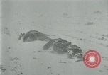 Image of German forces under Stemmermann defeated in Cherkassy pocket Eastern Front European Theater, 1944, second 36 stock footage video 65675069370