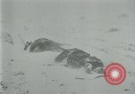 Image of German forces under Stemmermann defeated in Cherkassy pocket Eastern Front European Theater, 1944, second 37 stock footage video 65675069370