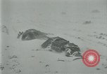 Image of German forces under Stemmermann defeated in Cherkassy pocket Eastern Front European Theater, 1944, second 38 stock footage video 65675069370
