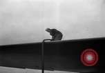 Immagine di VP-6 Patrol Squadron La Corea del Nord, 1950, secondo 54 filmato di repertorio 65675069376