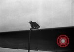Immagine di VP-6 Patrol Squadron La Corea del Nord, 1950, secondo 56 filmato di repertorio 65675069376