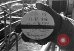 Image of 1st Marine Division North Korea, 1950, second 1 stock footage video 65675069379